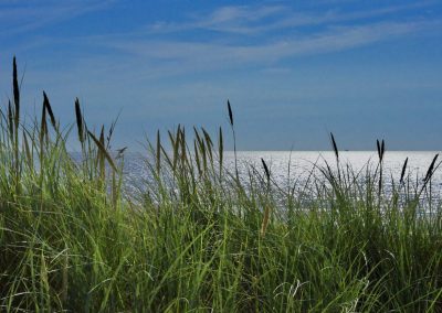 achter duin met grashalmen met zicht op de horizon met blauwe lucht en glinsterende zee in katwijk