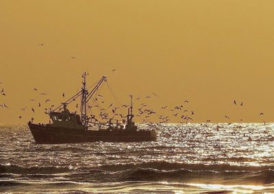 viskotter varend op zee in gouden zonnestraling