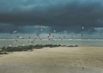 wegvliegende zeemeeuwen bij de uitwatering oude rijn met regenbui in de lucht in katwijk aan zee
